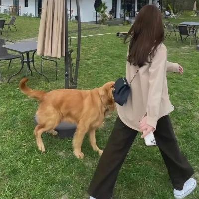 终末的女武神